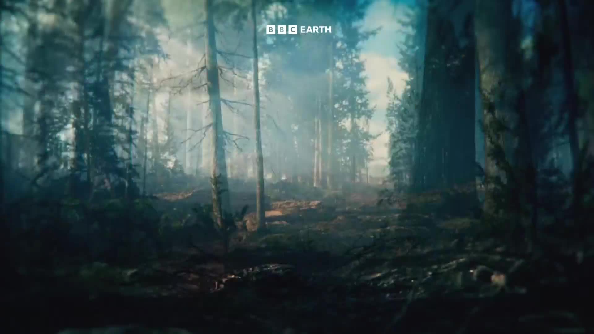 BBCEarth