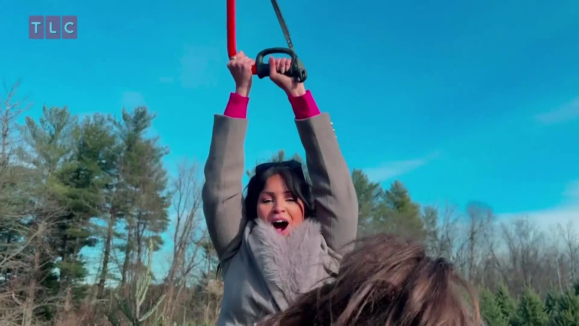 TLC