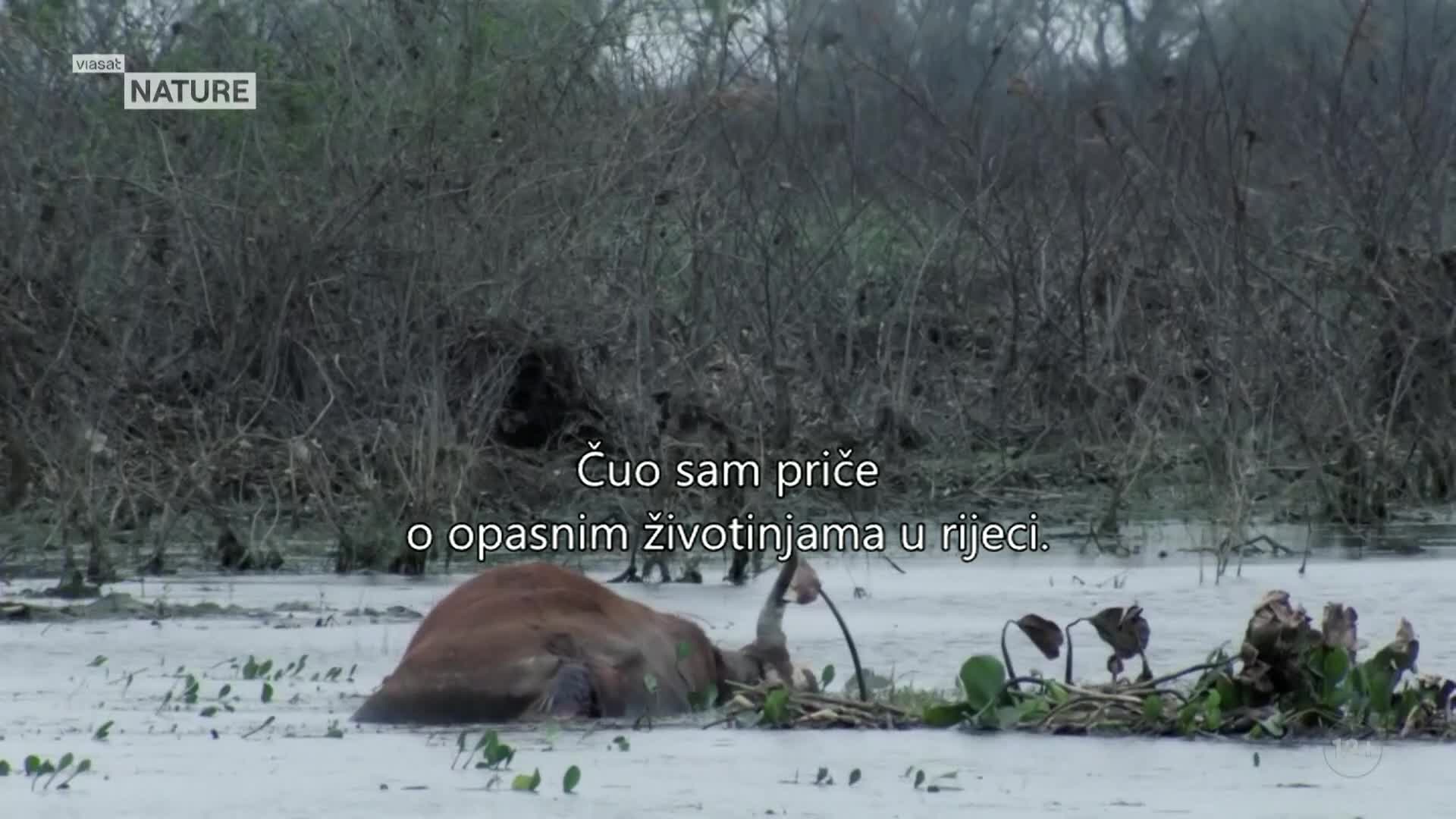 ViasatNature