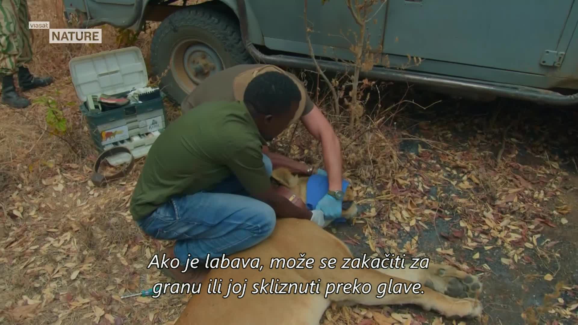 ViasatNature