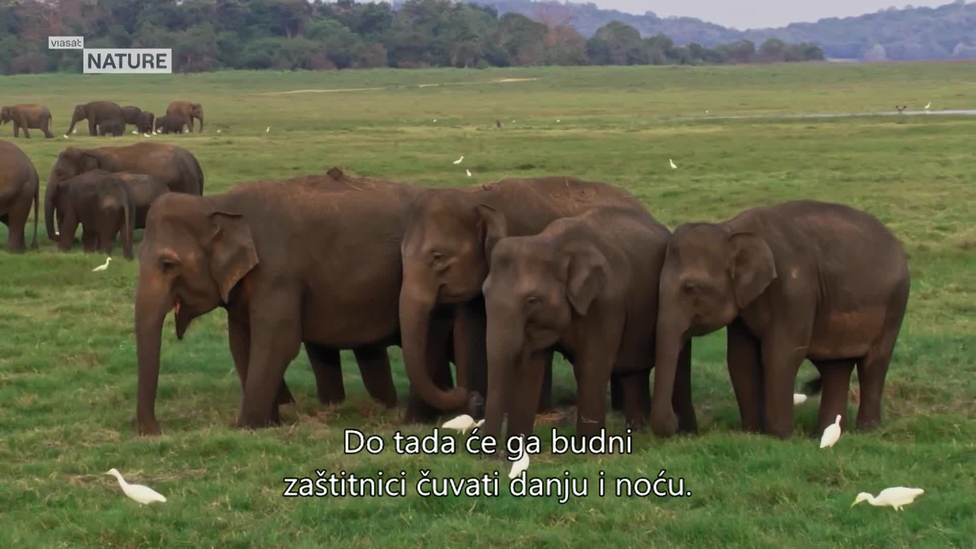 ViasatNature