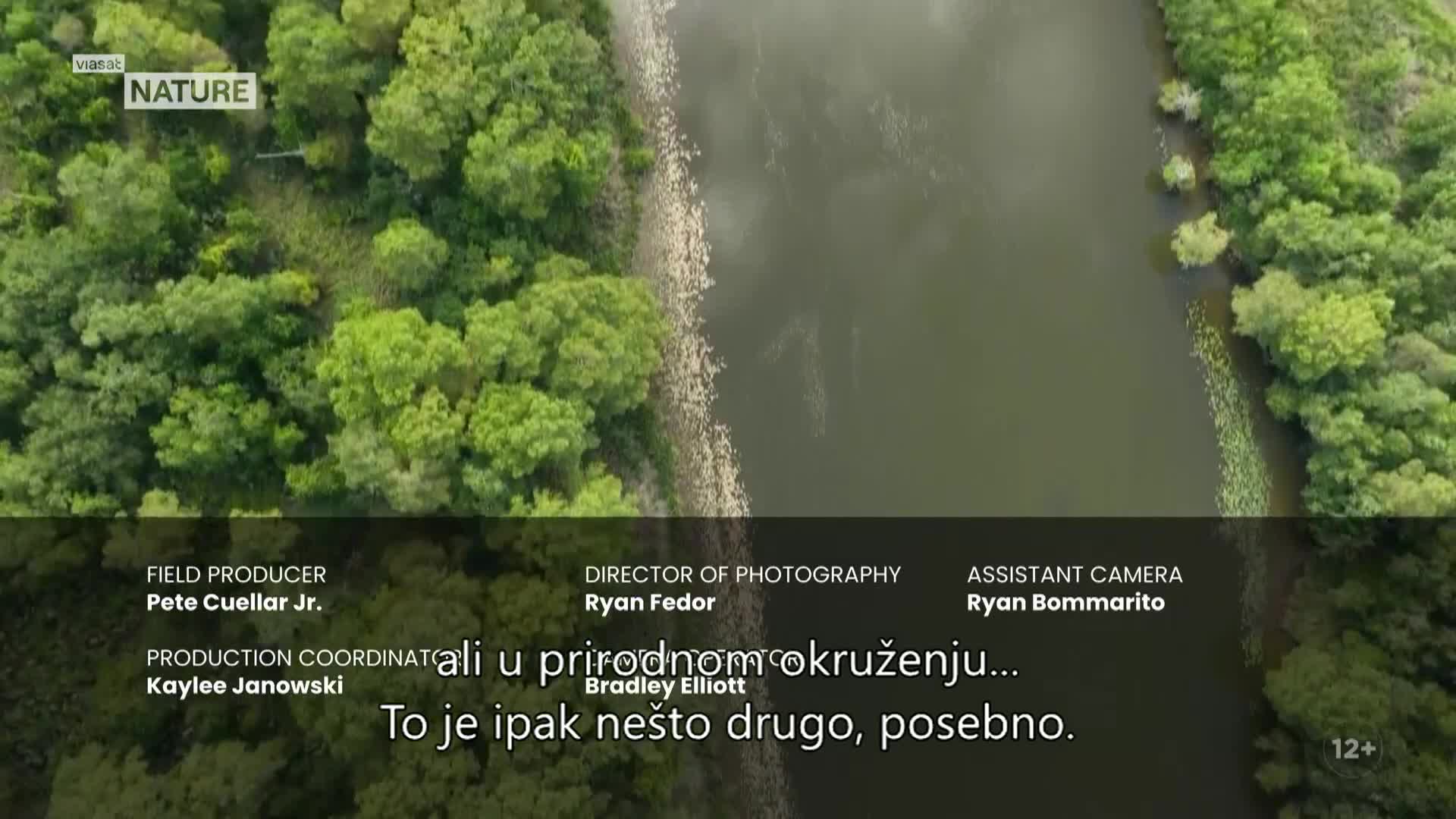 ViasatNature