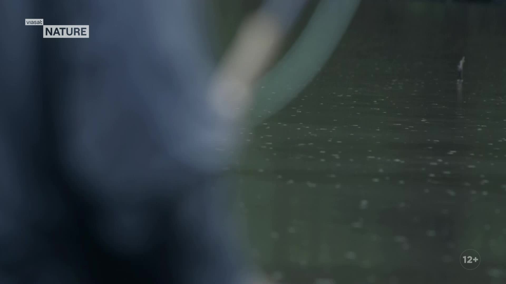 ViasatNature