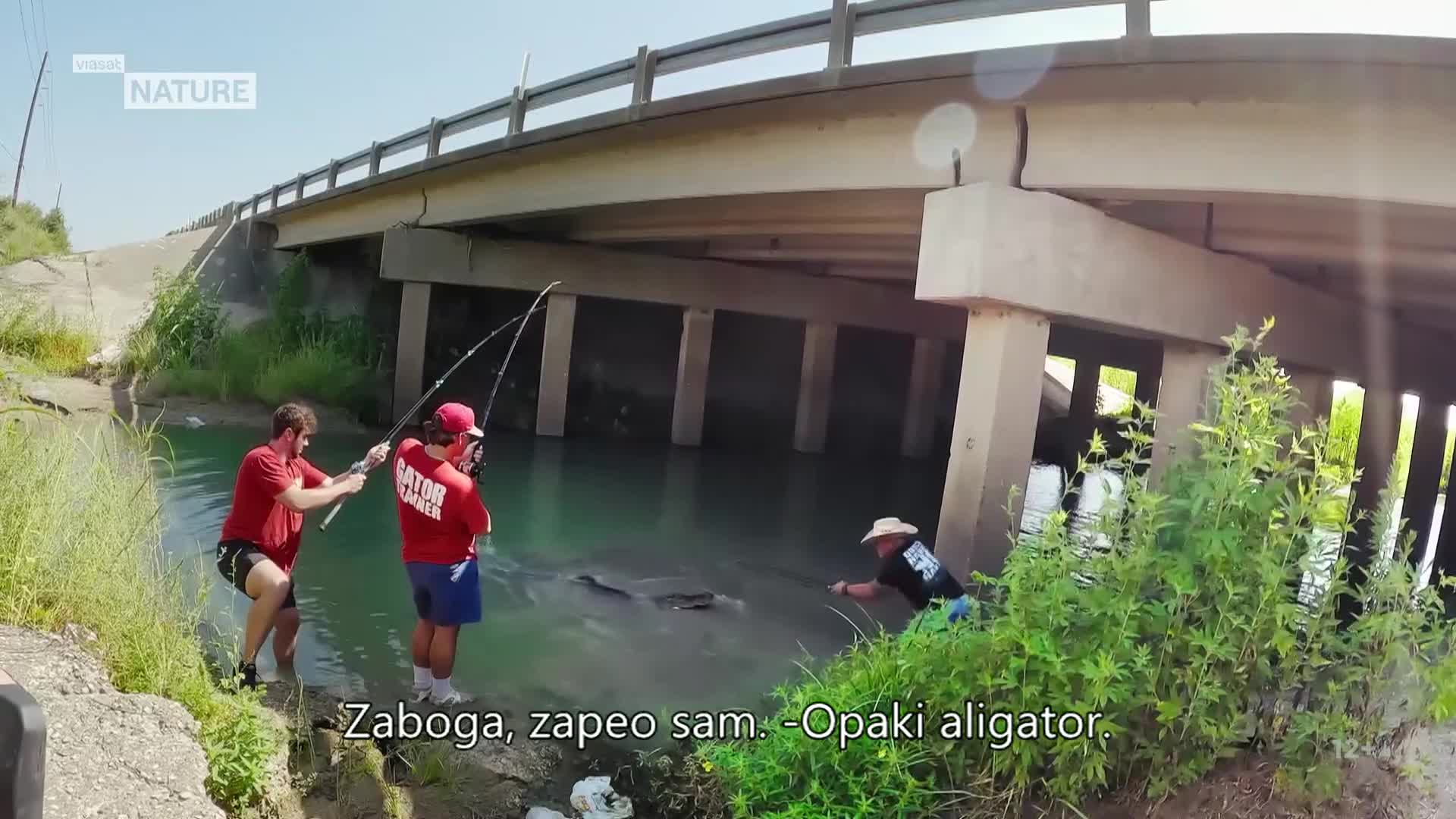 ViasatNature