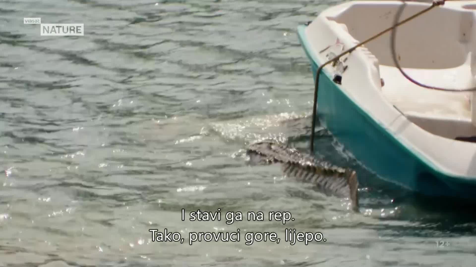 ViasatNature
