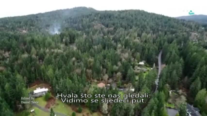 AXNSpin