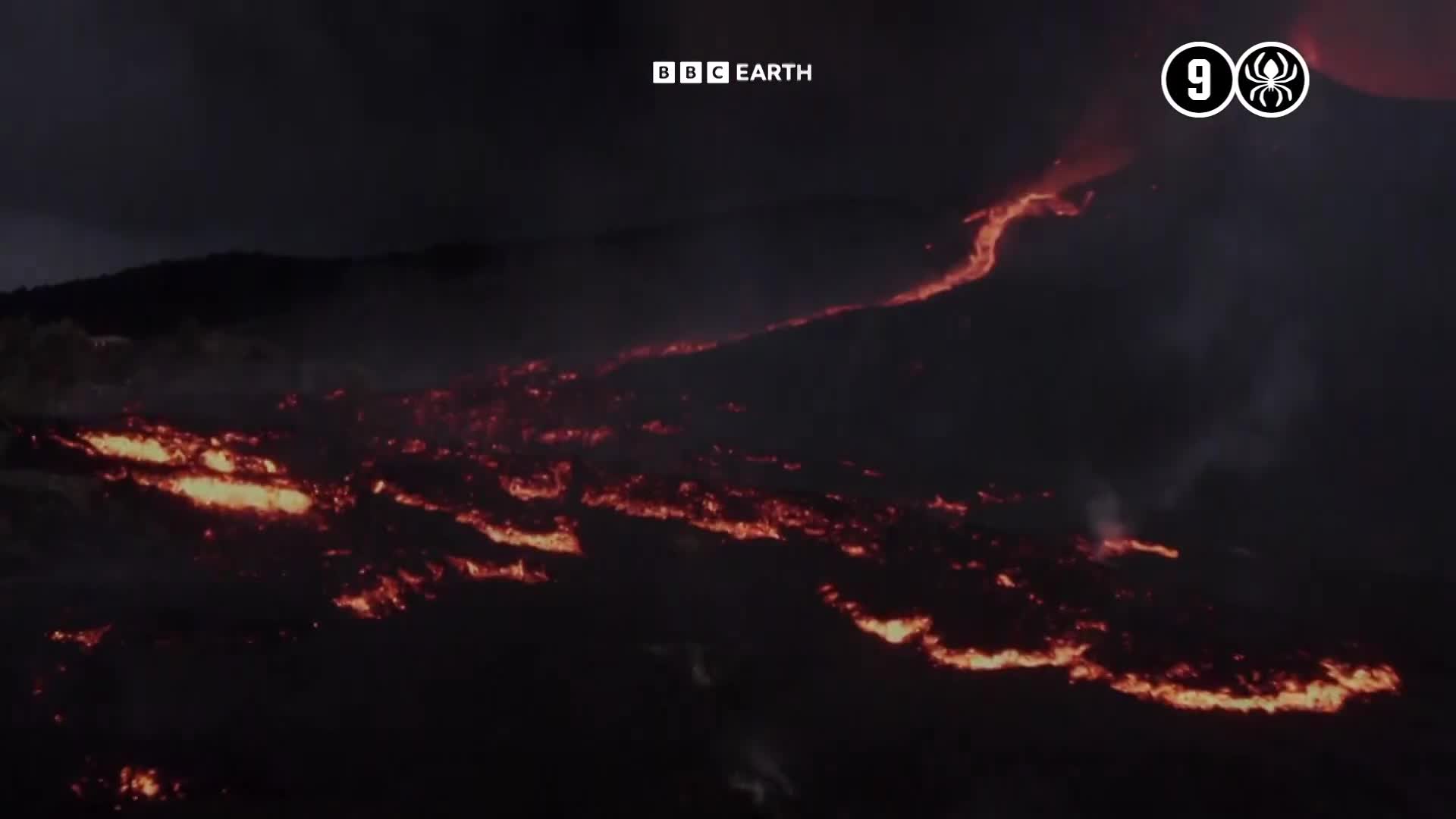 BBCEarth
