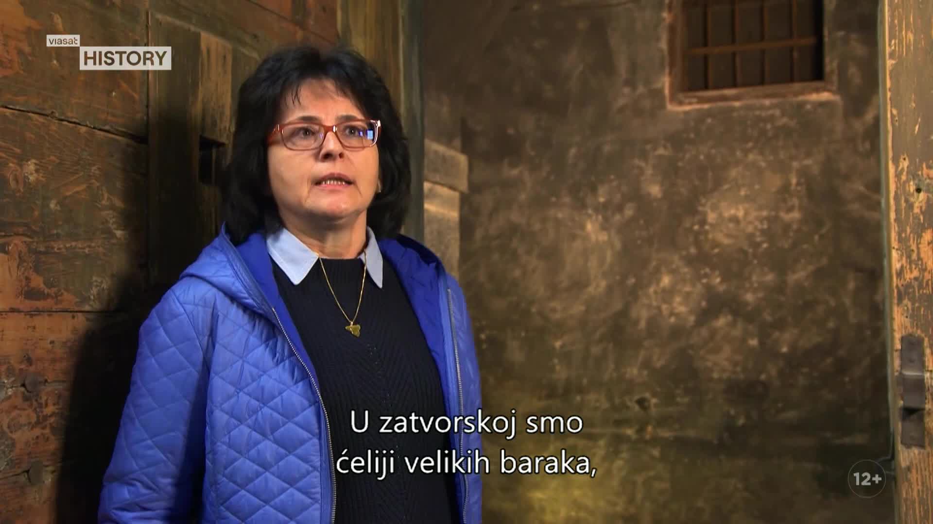 ViasatHistory