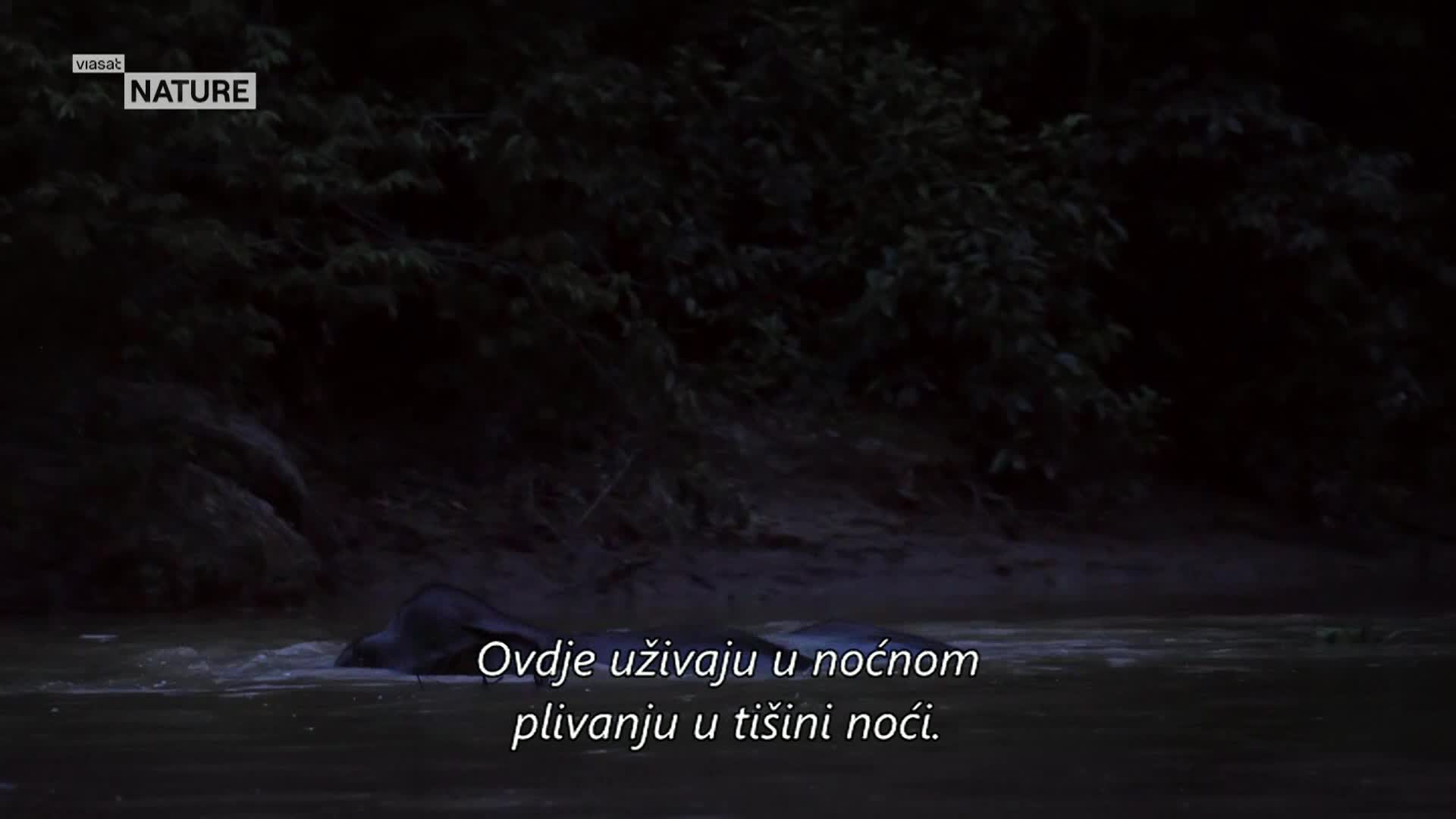 ViasatNature