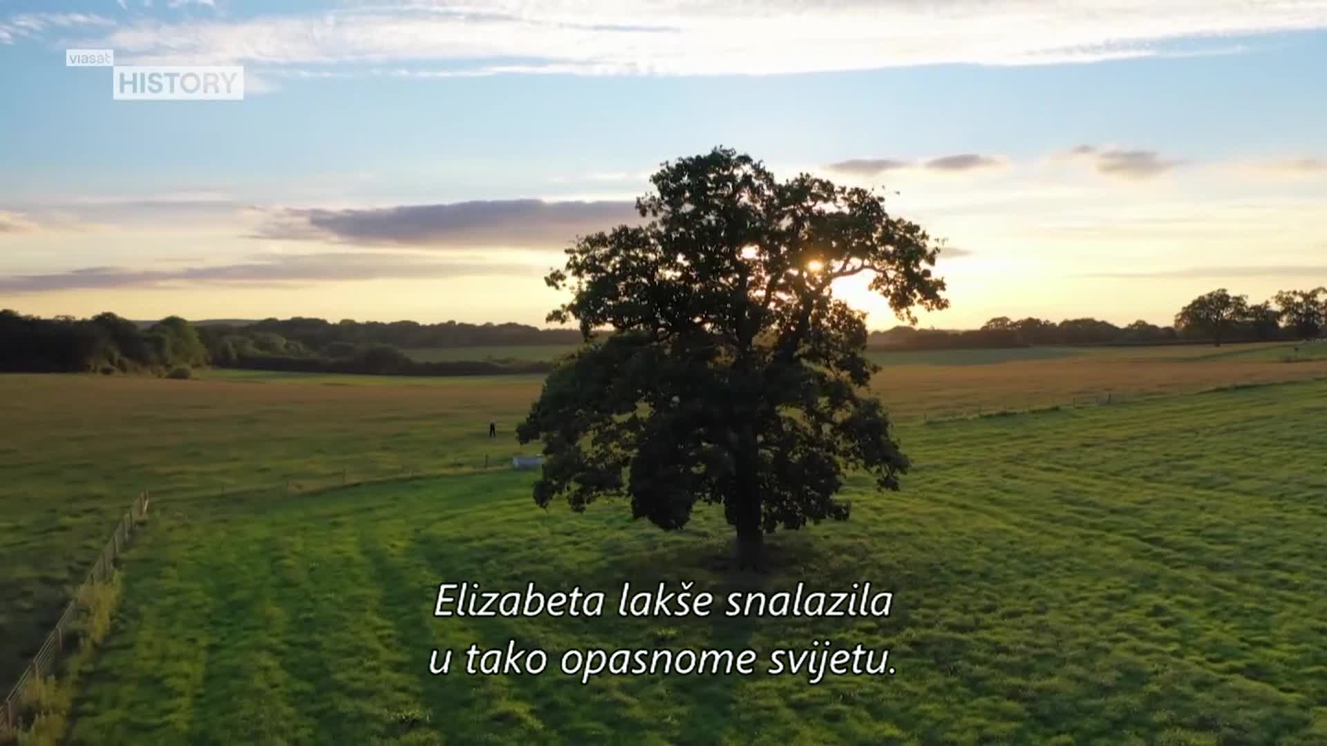ViasatHistory