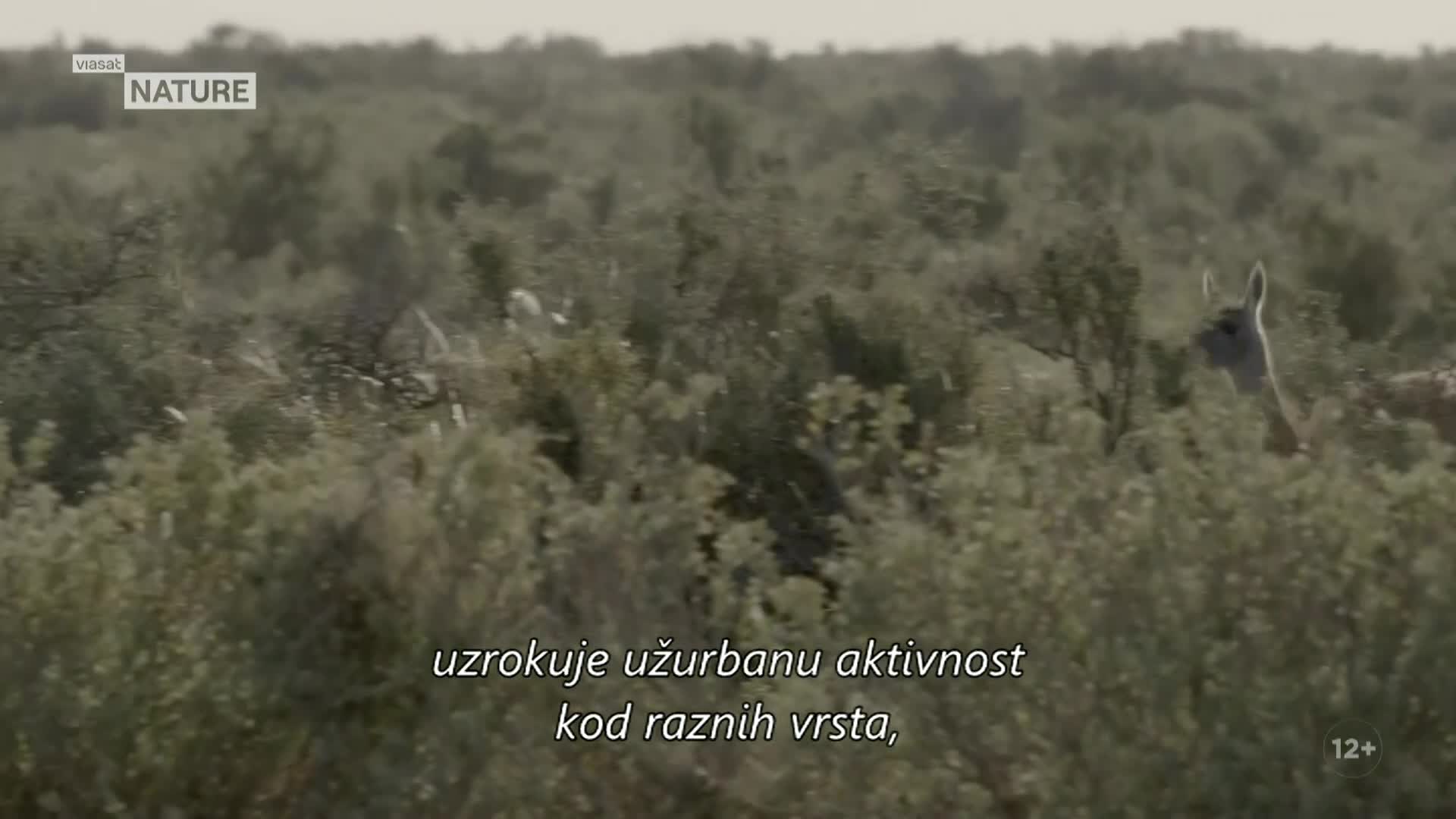 ViasatNature