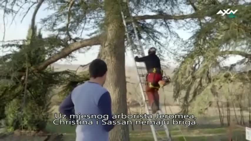 AXNSpin