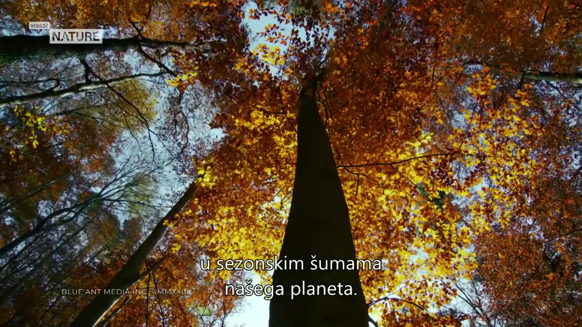 ViasatNature