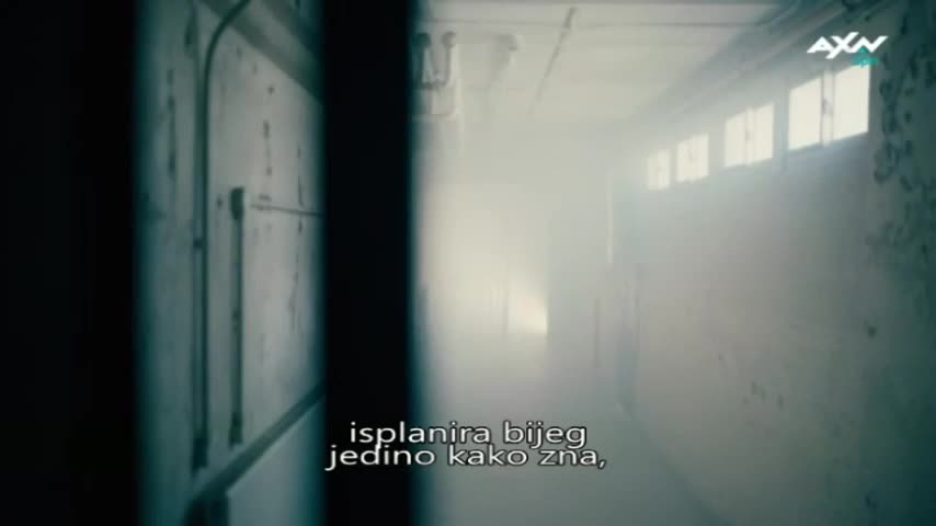AXNSpin