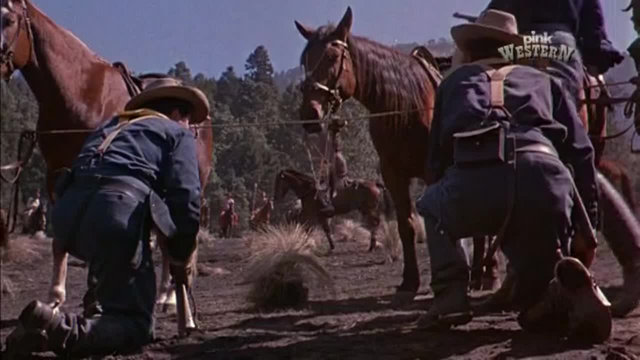 PinkWestern