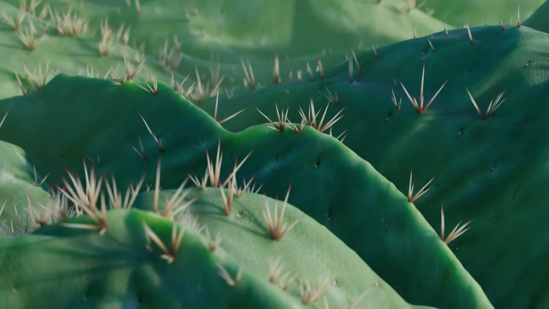 ViasatNature