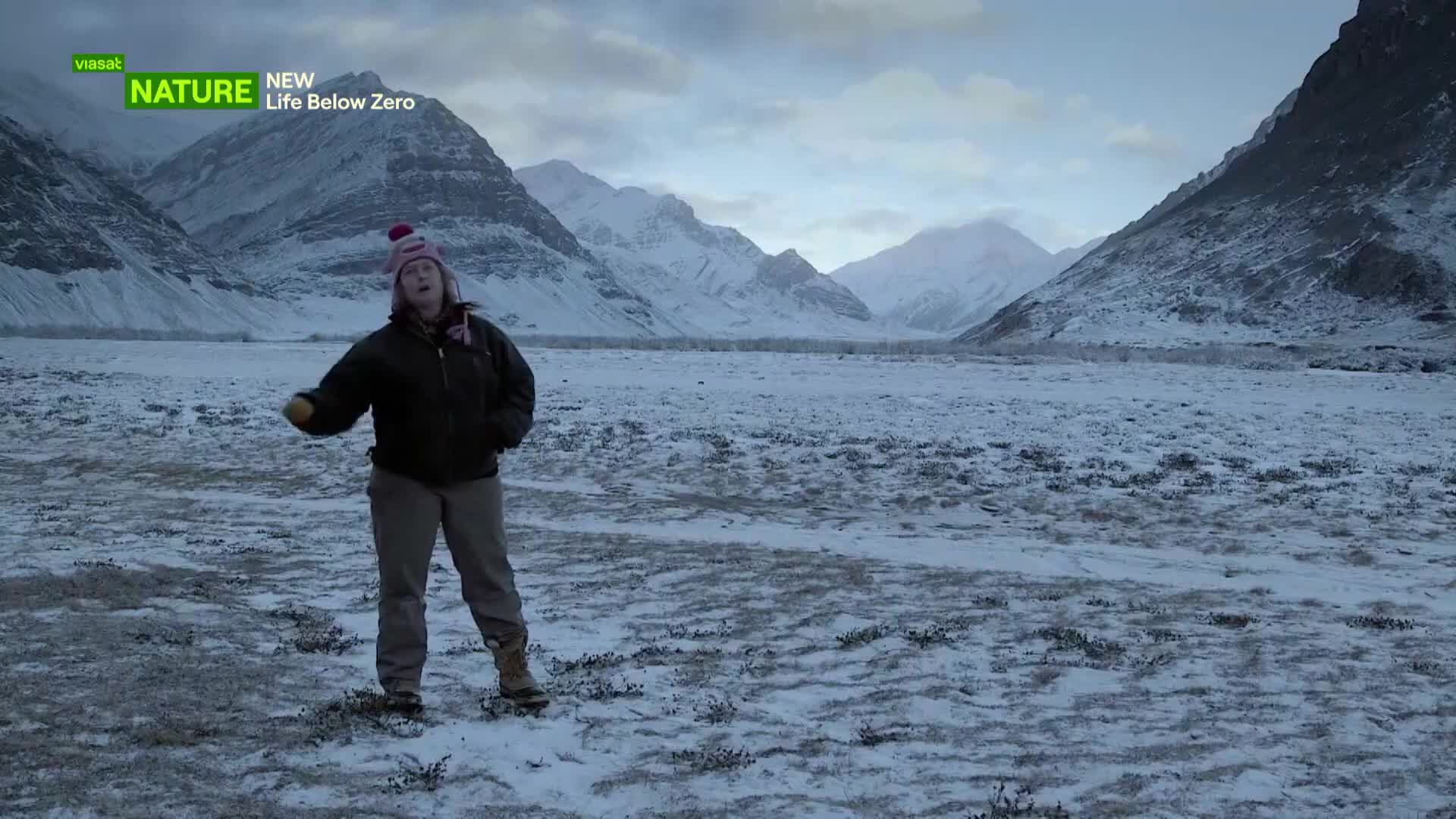 ViasatNature