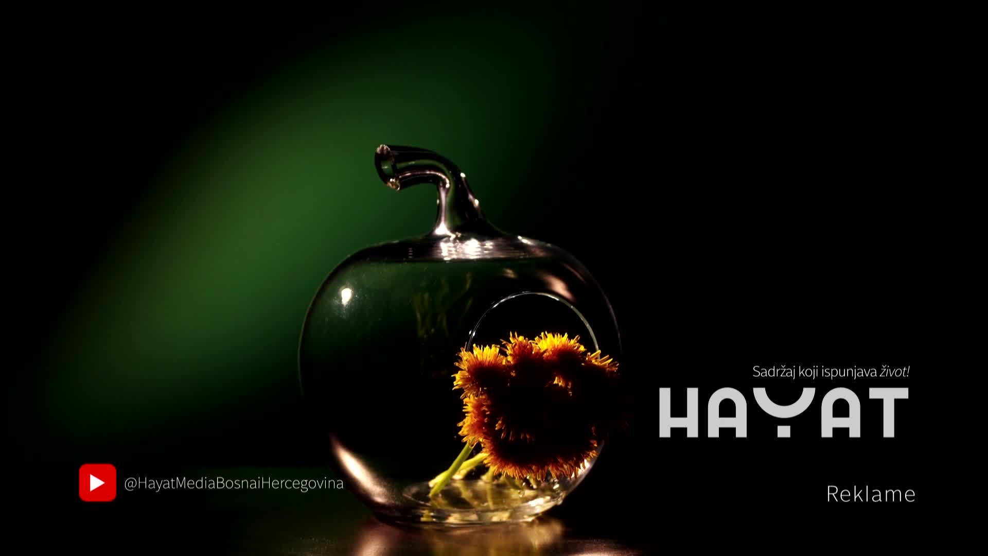 hayat