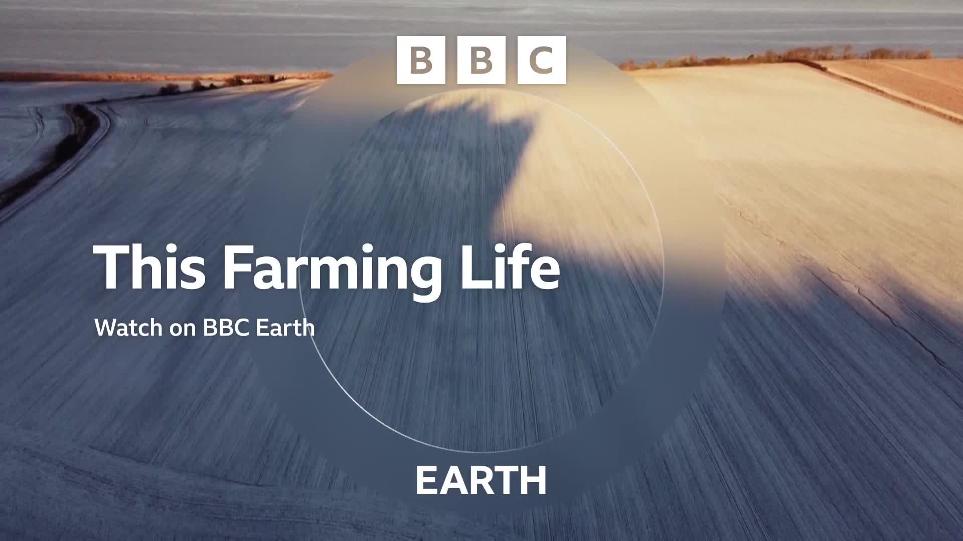 BBCEarth