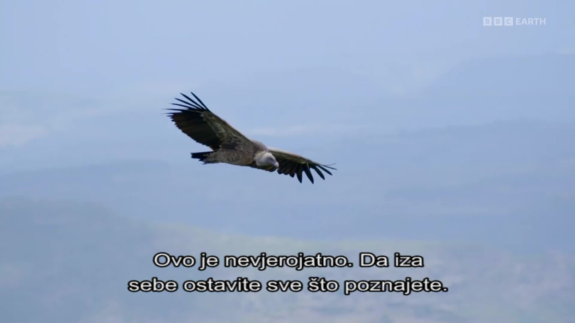 BBCEarth