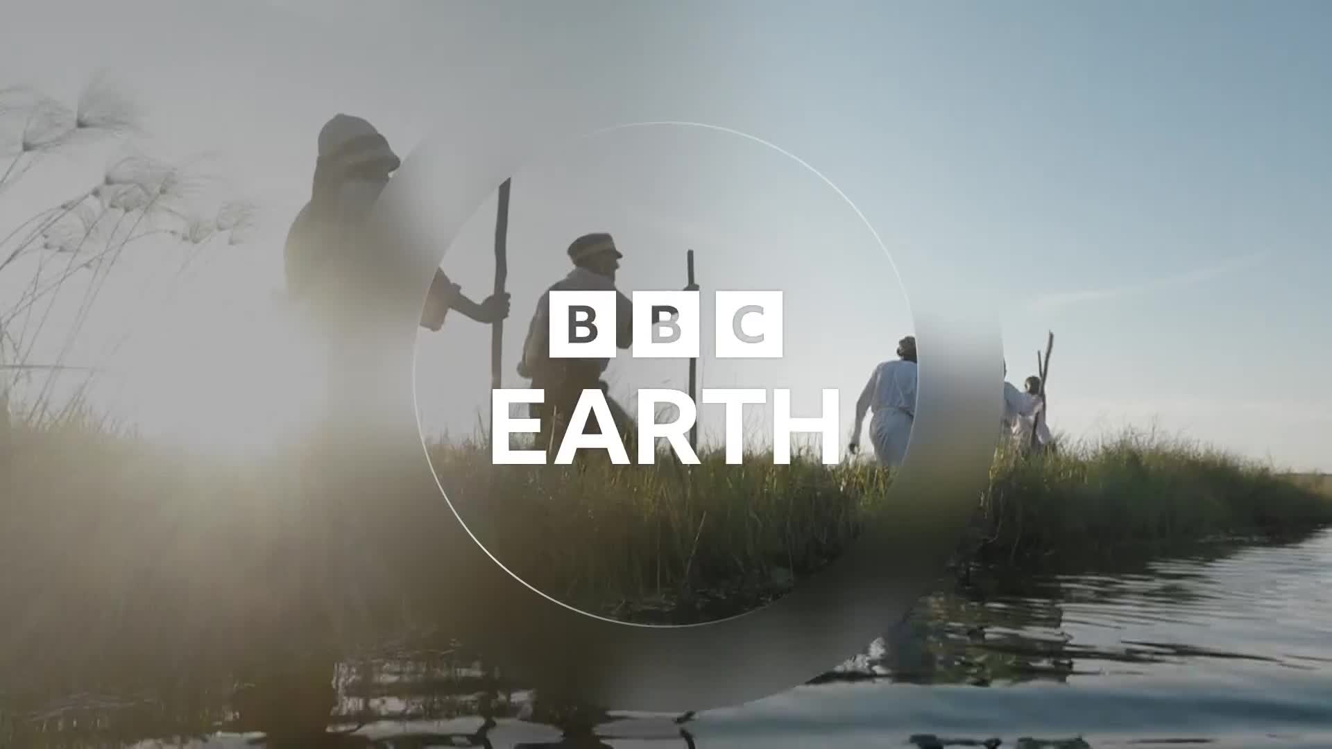 BBCEarth