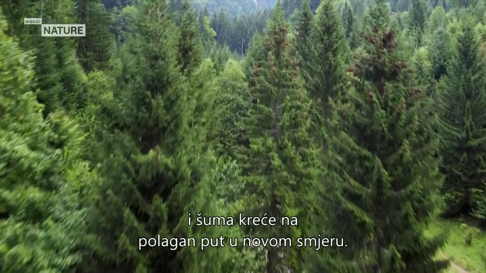 ViasatNature