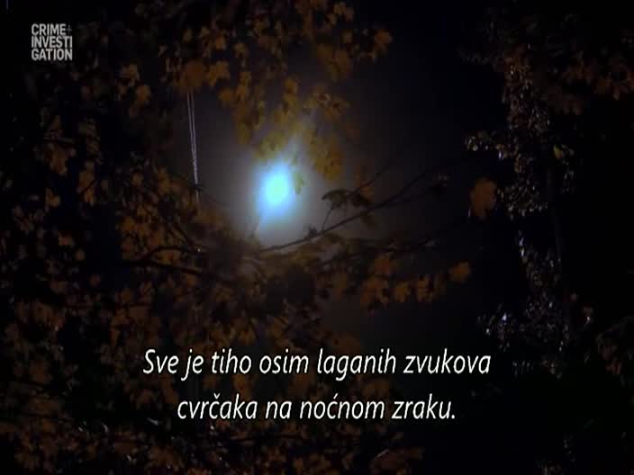 CrimeInvestigation