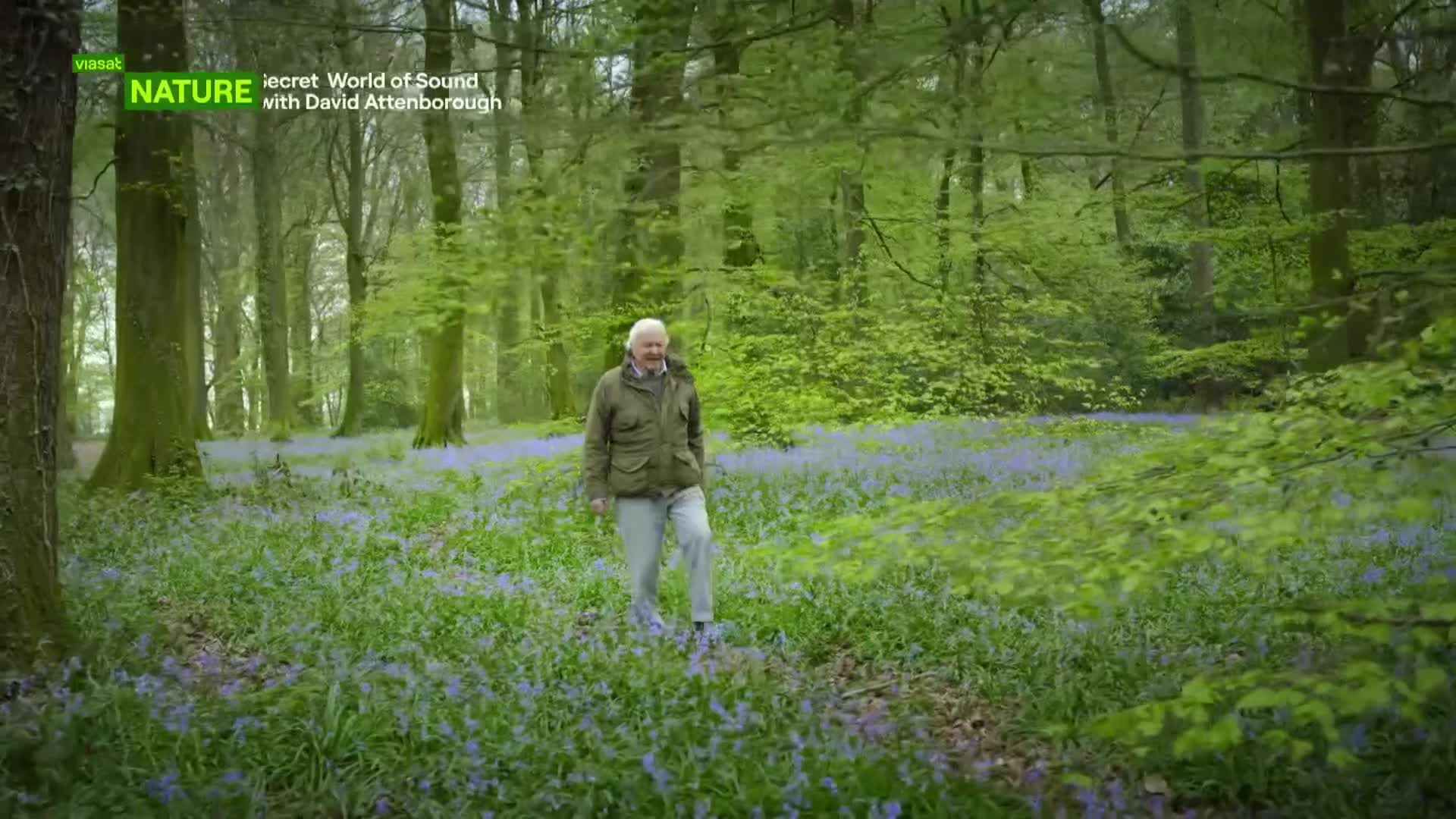 ViasatNature