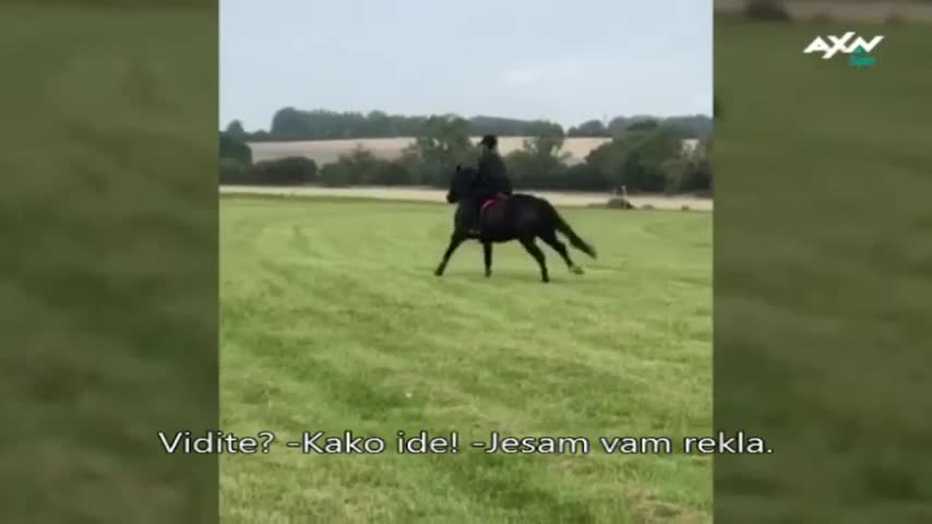 AXNSpin