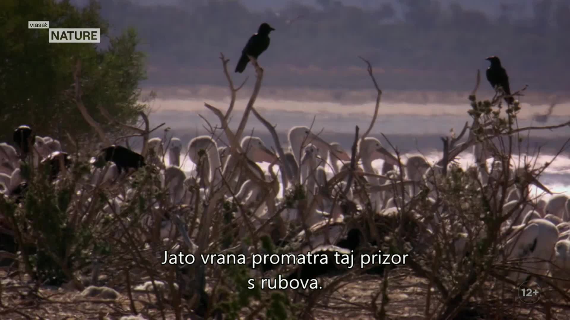 ViasatNature