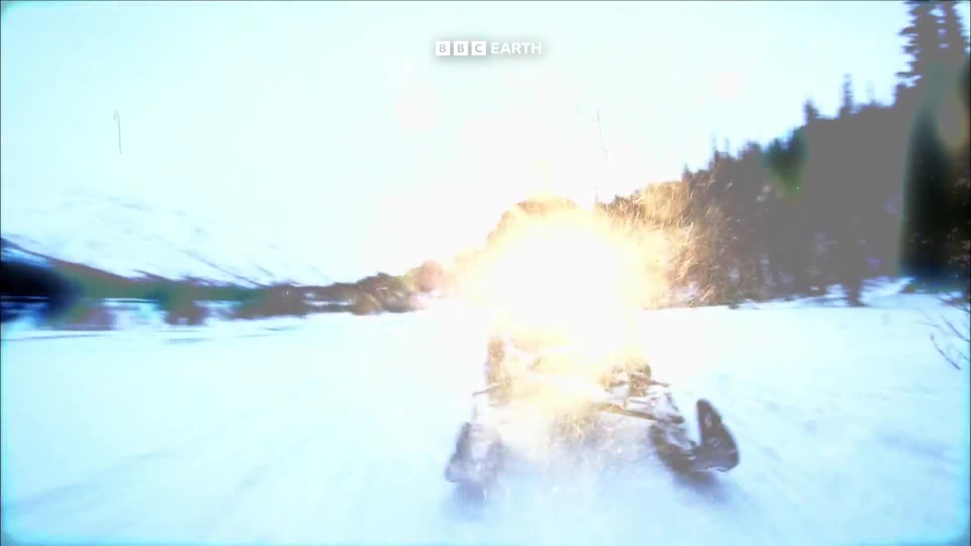BBCEarth