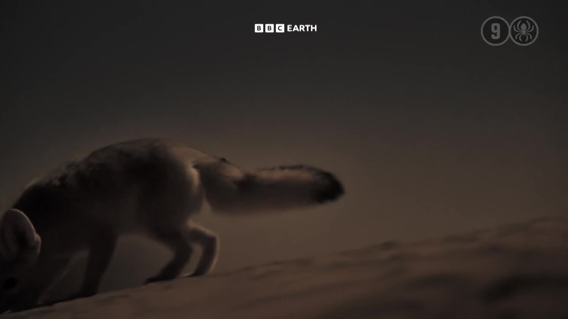 BBCEarth