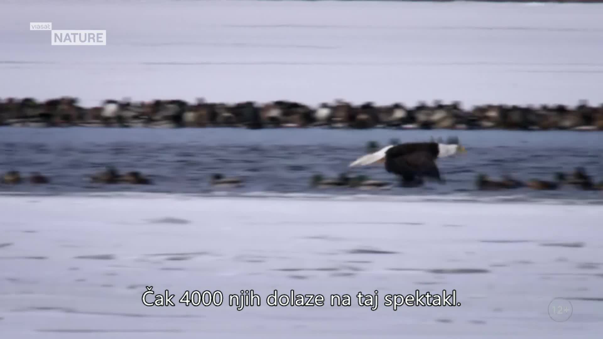 ViasatNature