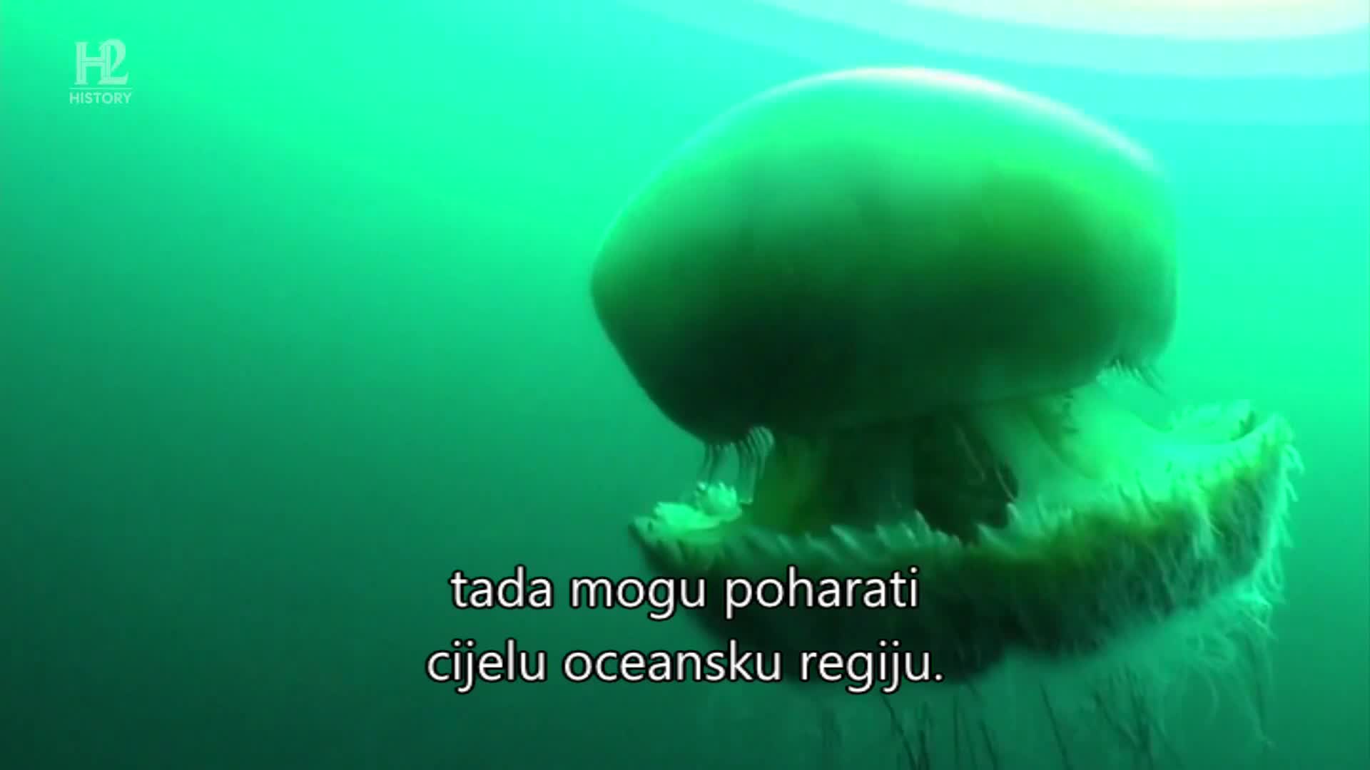 History2