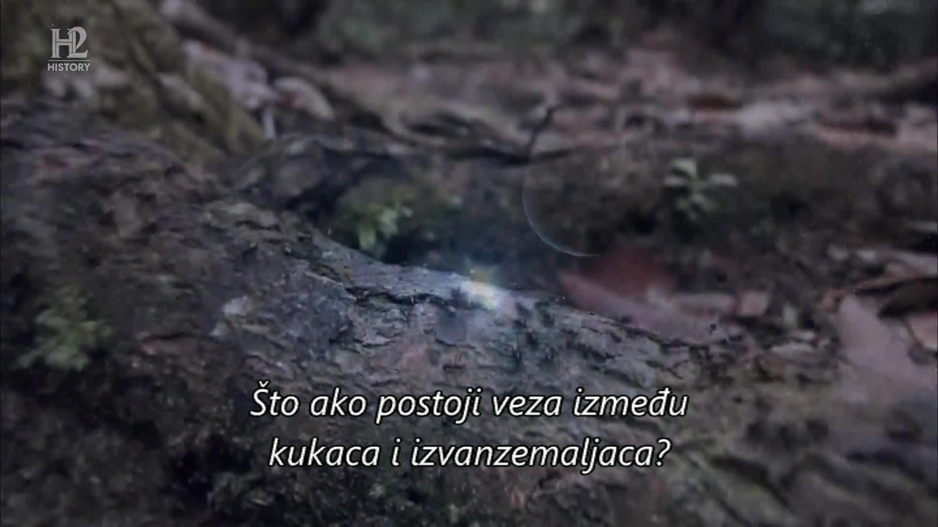 History2