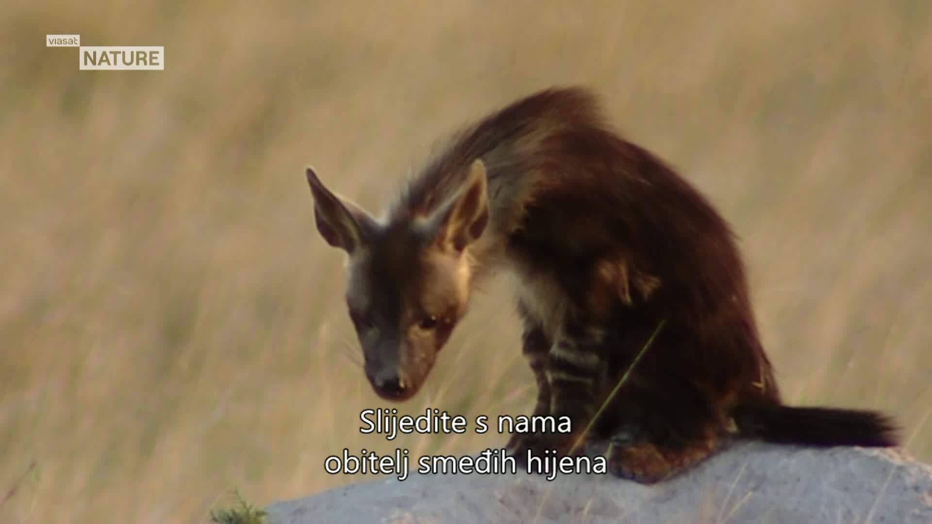 ViasatNature
