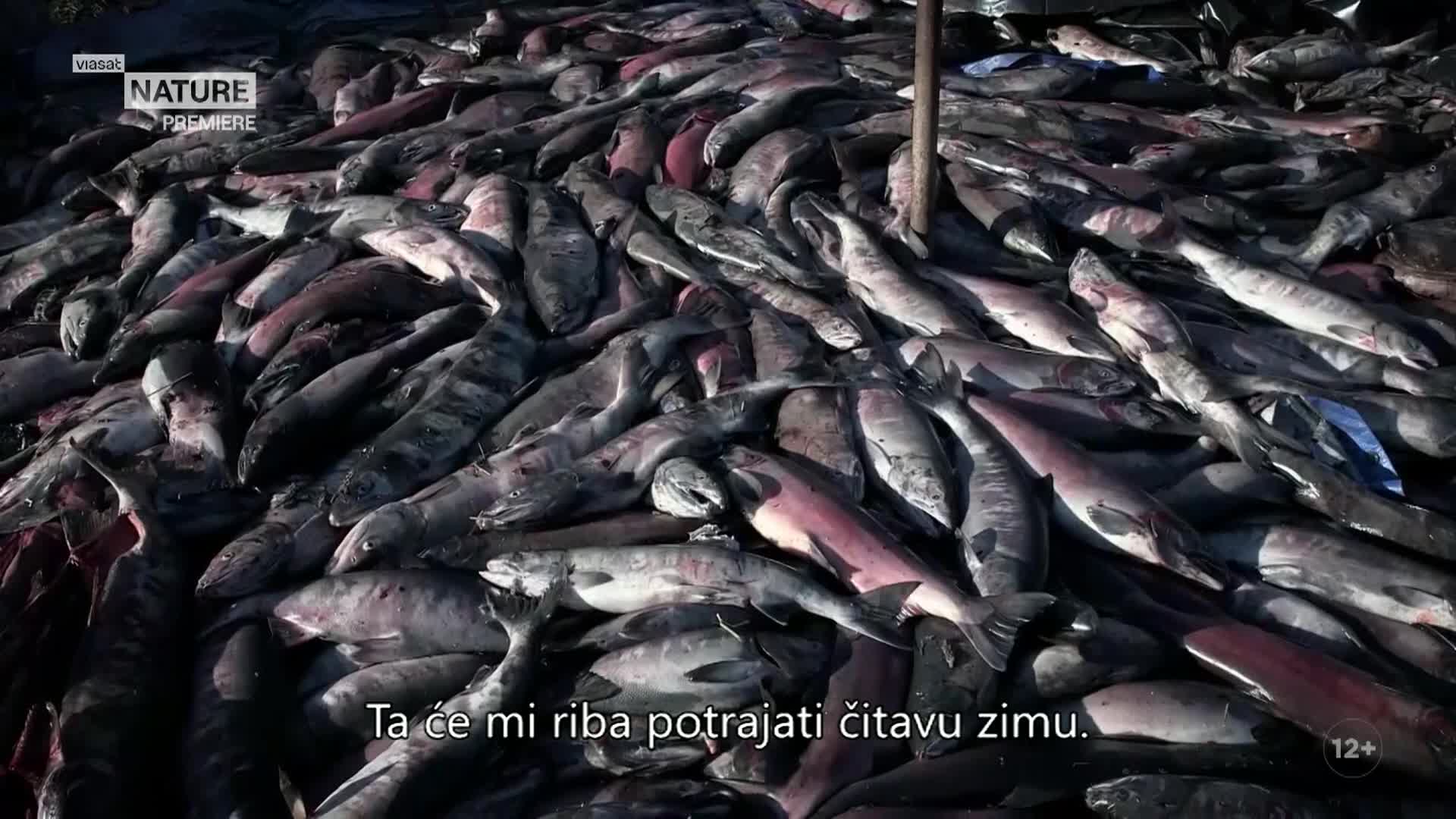 ViasatNature