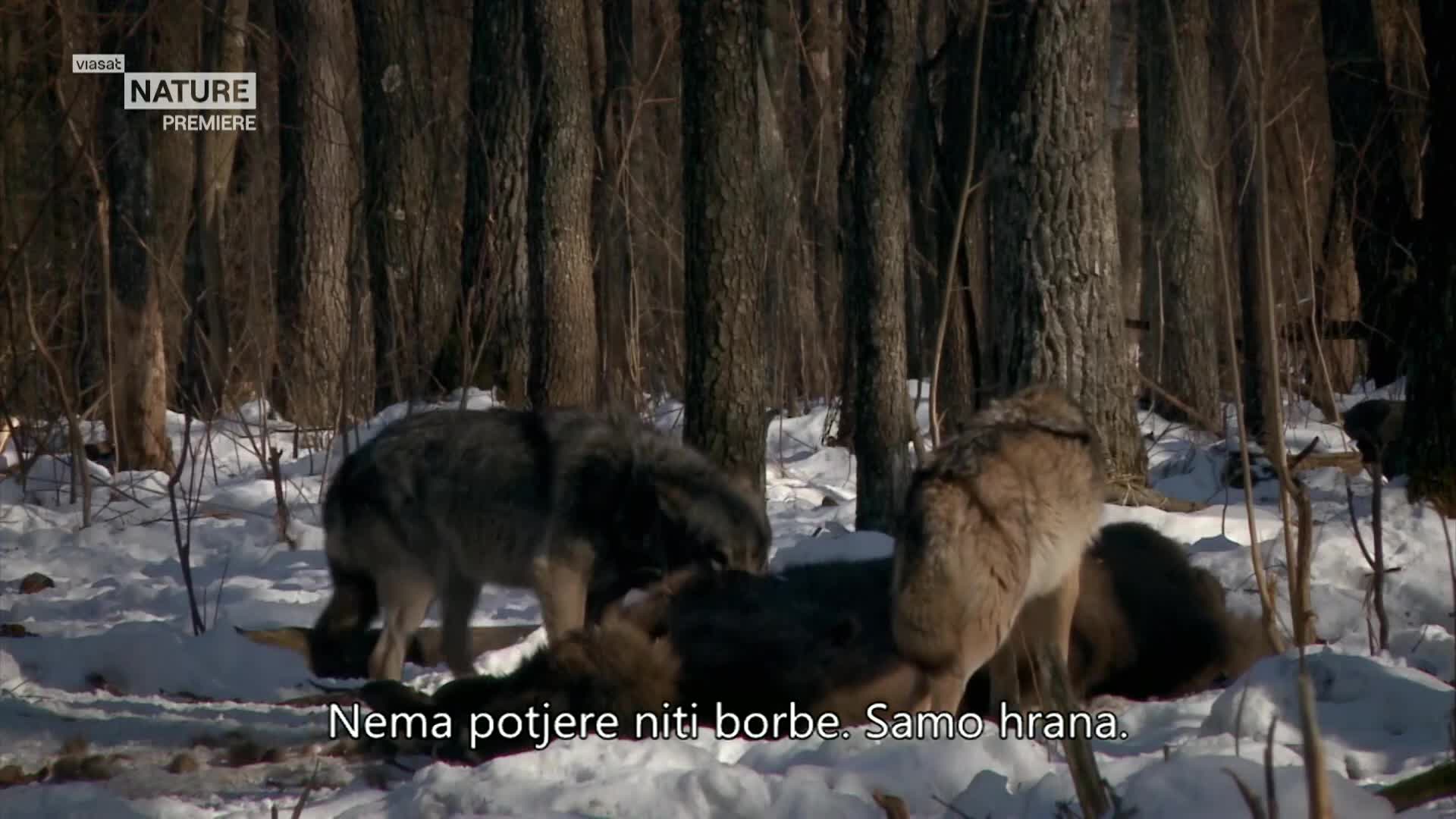 ViasatNature