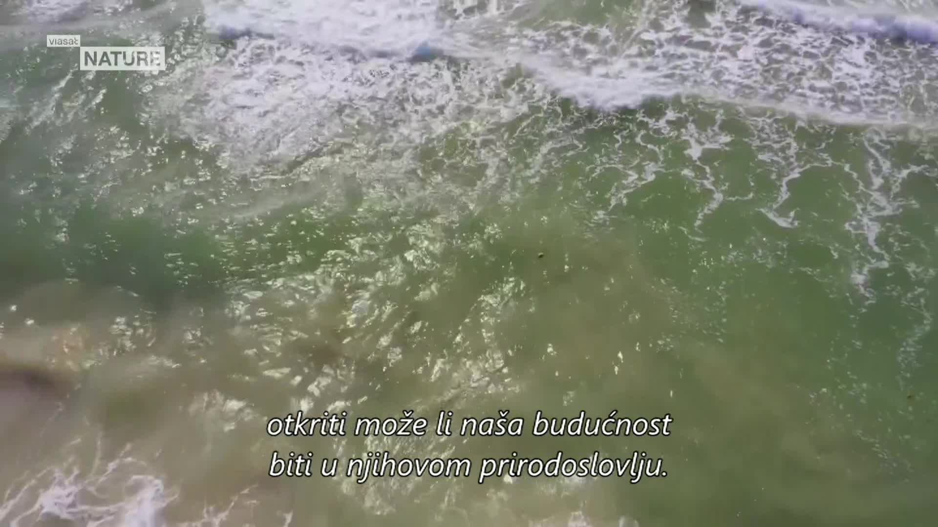 ViasatNature