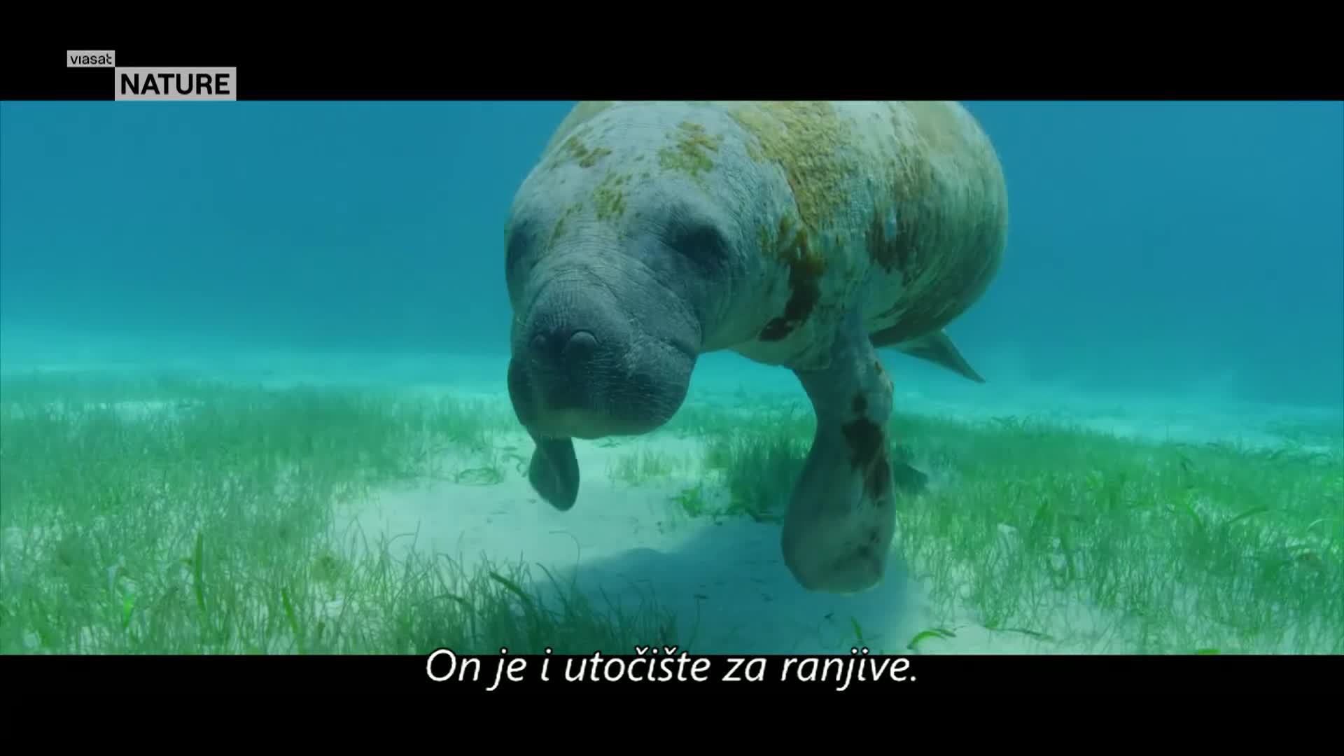 ViasatNature