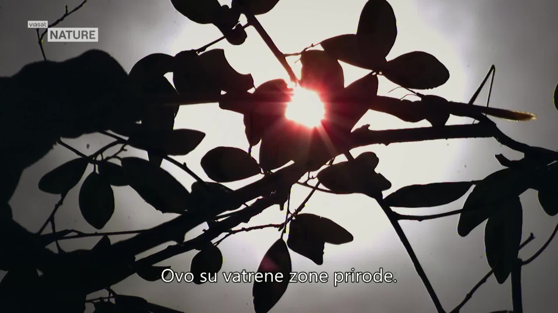 ViasatNature