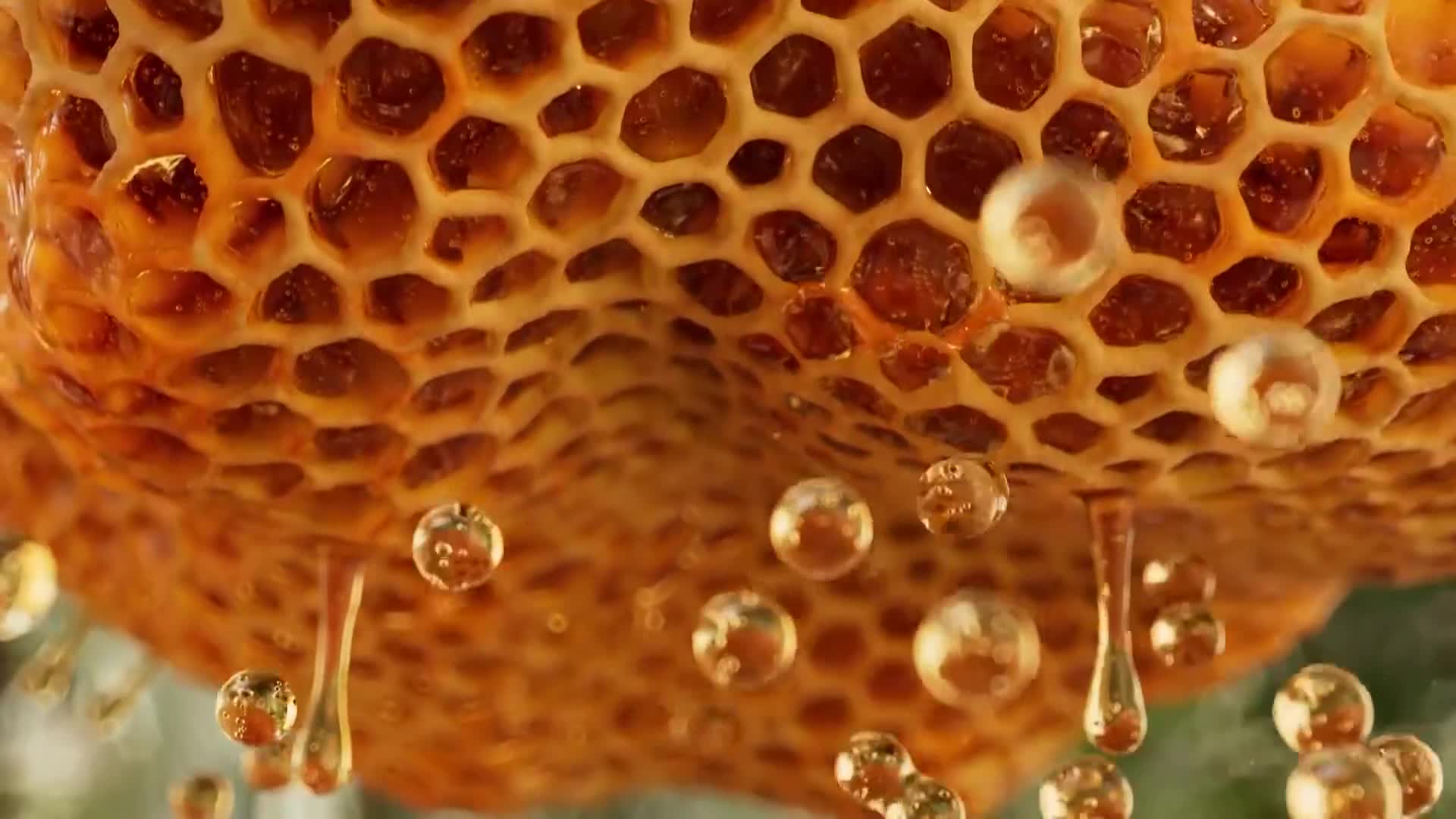ViasatNature