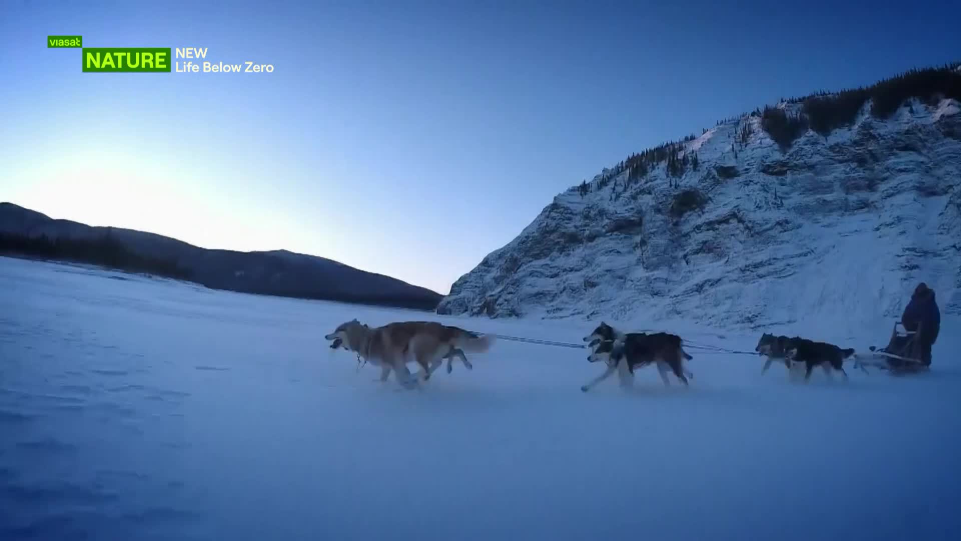 ViasatNature