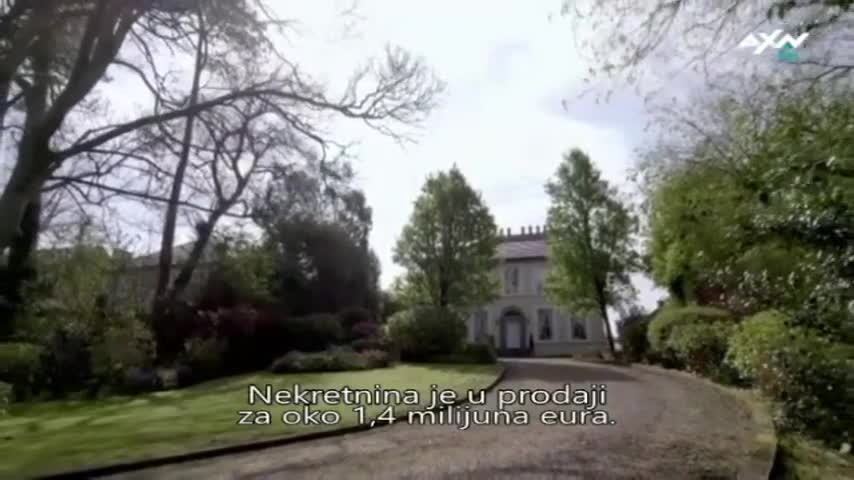 AXNSpin