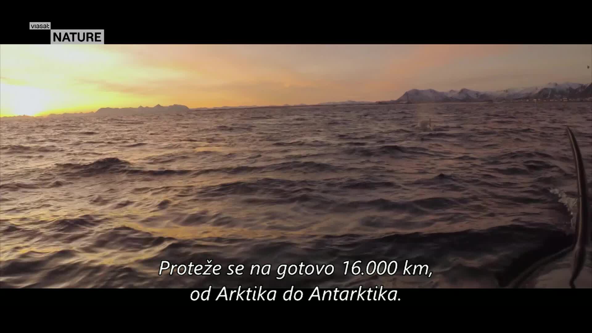 ViasatNature
