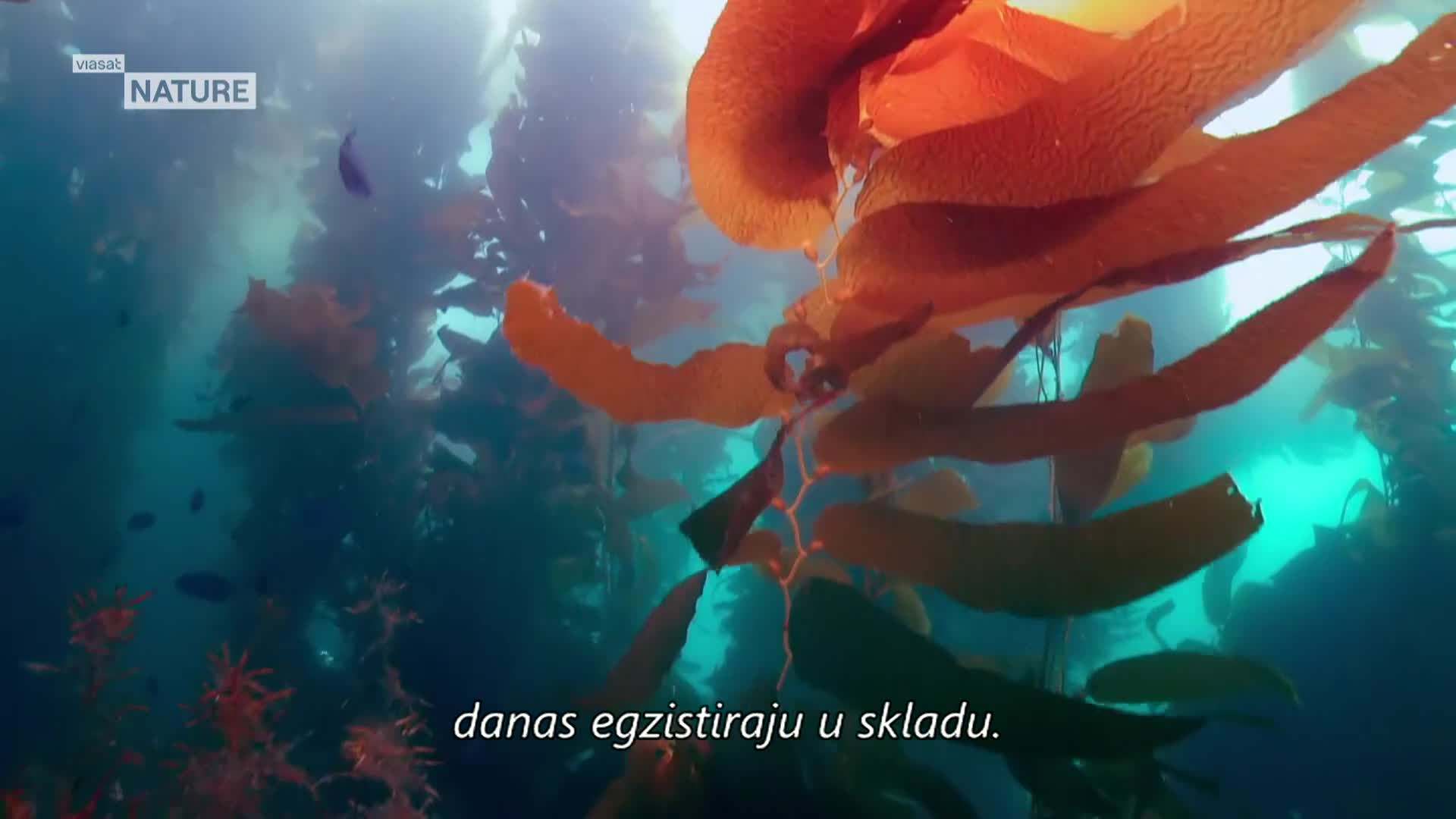 ViasatNature
