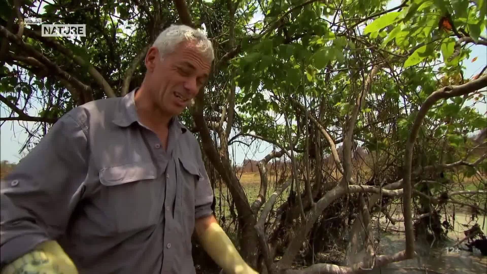 ViasatNature
