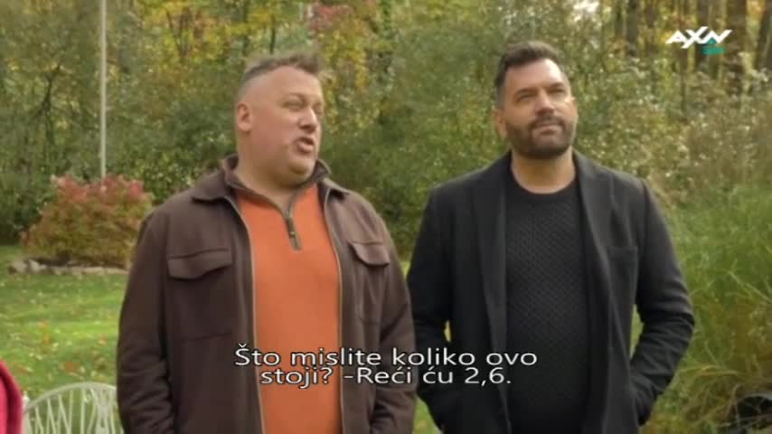 AXNSpin