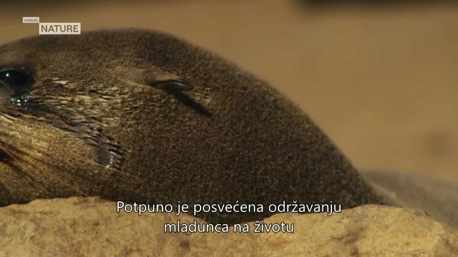 ViasatNature