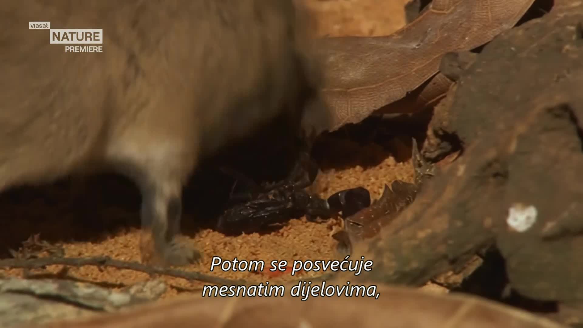 ViasatNature